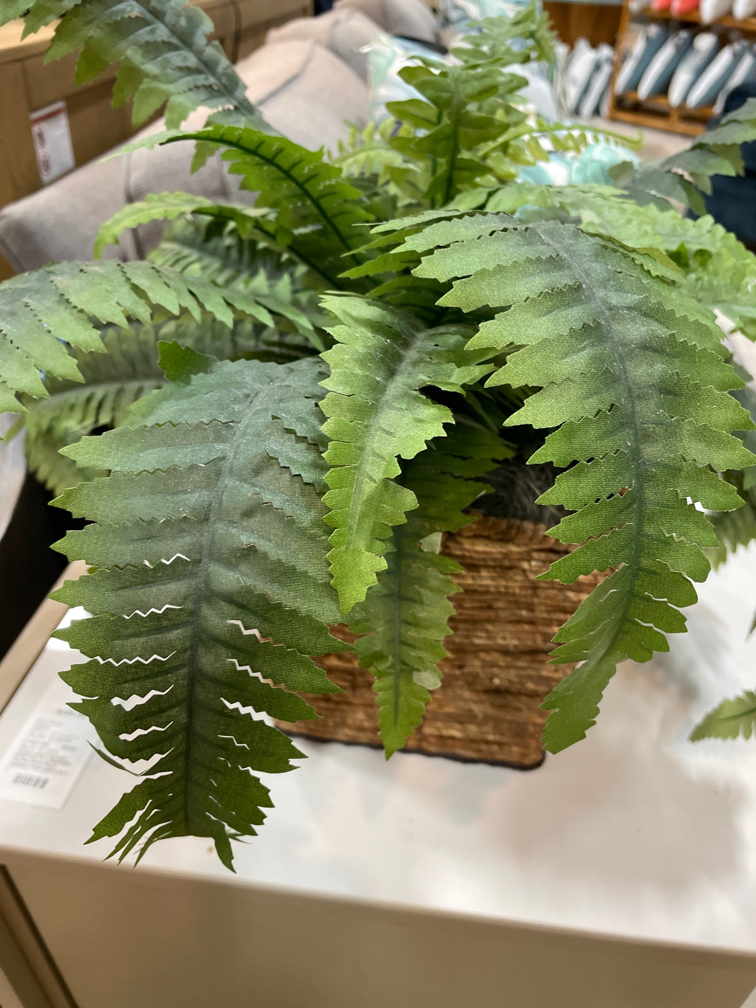 Zoom