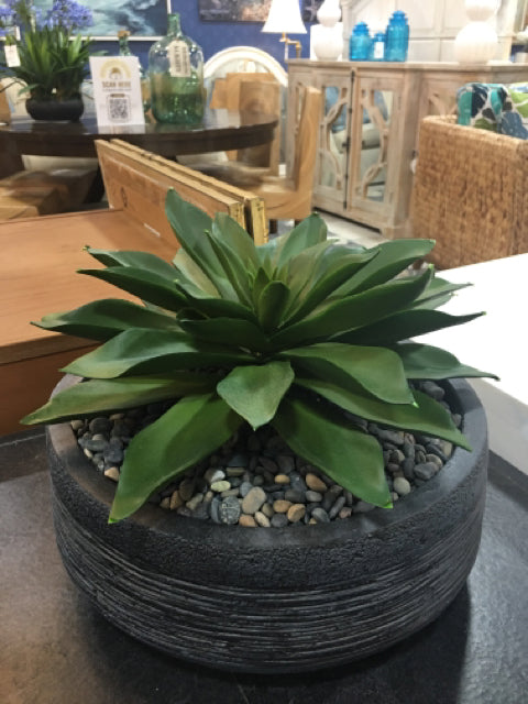 PLANTER BLACK STONE WITH ALOE