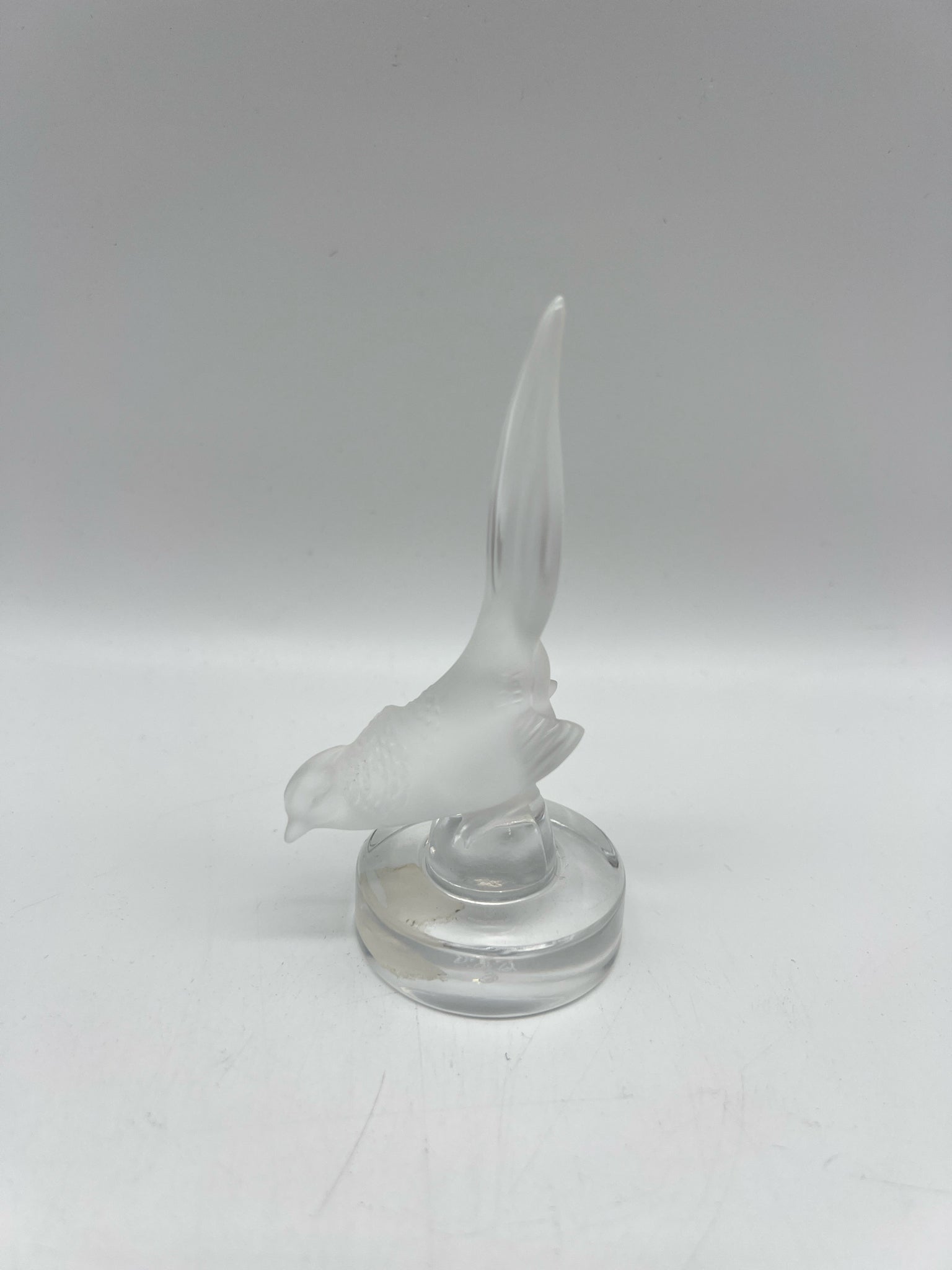 Zoom
