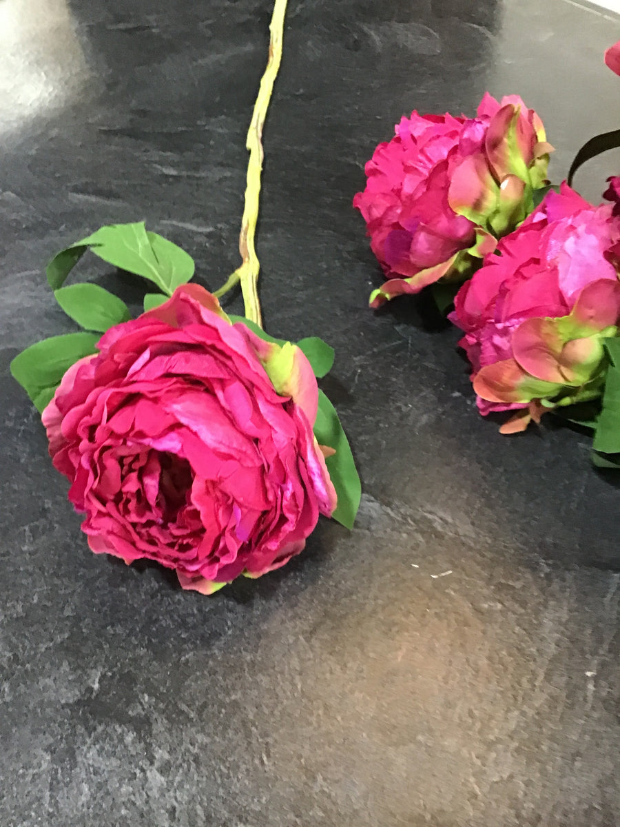 PEONY FUCHSIA STEM Consign & Design