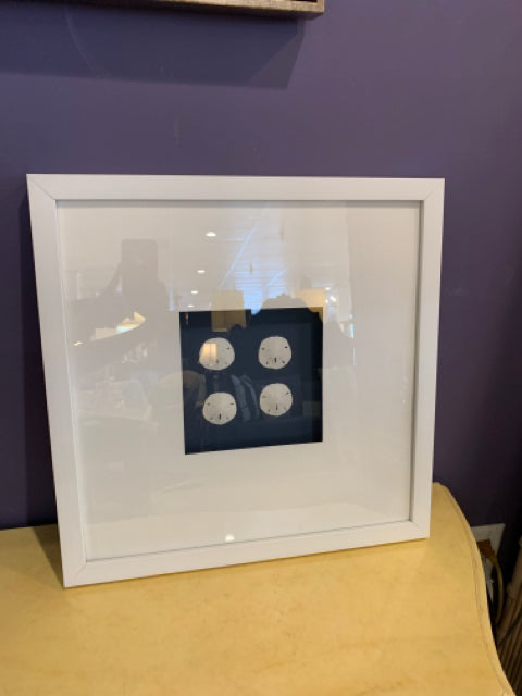 WALL ART SAND DOLLAR SHADOW BOX WITH WHITE FRAME - Consign & Design - Consign & Design - clearance, PGA