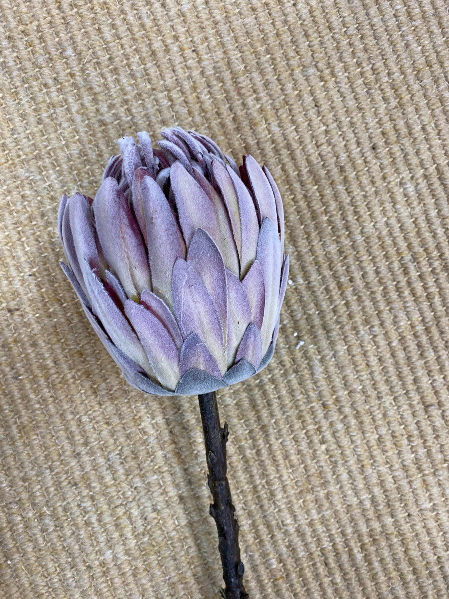 FLOCKED PROTEA STEM 26" PURPLE