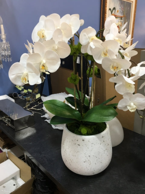 SILK ORCHID IN WHITE WITH TERRAZZO BOWL