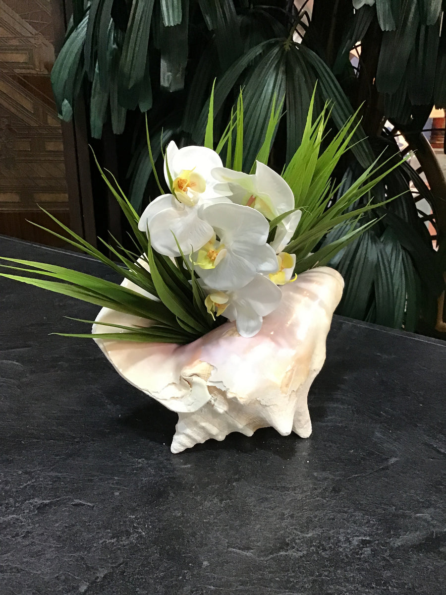 SILK WHITE ORCHID IN CONCH SHELL WITH GRASS